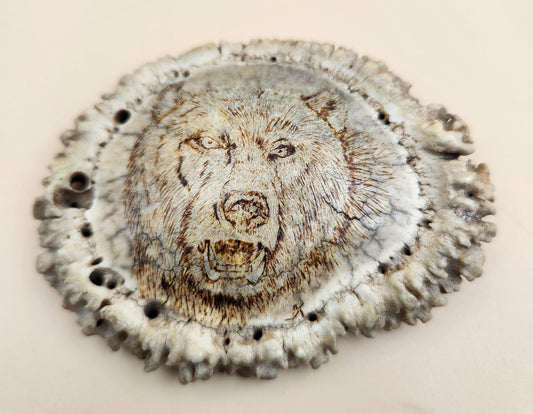 Hand Engraved Scrimshaw Image of a Bear on an Elk Antler Burr