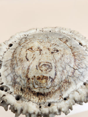 Hand Engraved Scrimshaw Image of a Bear on an Elk Antler Burr