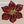 Stunning Red Enamel Gold Tone Flower Earrings