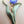 Dimensional Purple Tulip/Gold Tone/Green Enamel Leaf 3.25