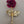 Gold Tone/Red Matte Finish Rose/Textured Leaf Vintage Brooch