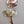 Gold Tone/Red Matte Finish Rose/Textured Leaf Vintage Brooch