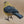 Wooden Hand Carved and Painted Yellow Chickadee Bird with Metal Legs