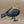 Wooden Hand Carved and Painted Yellow Chickadee Bird with Metal Legs