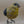 Wooden Hand Carved and Painted Yellow Chickadee Bird with Metal Legs