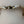 Antiqued White Water Buffalo Bone/Tigers Eye 7