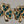 AVON 1980's-90's Vintage Shamrock/3 Leaf Clover Goldtone/Green Rhinestone Stud Earrings