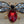 MINT Red/Clear Rhinestone/Goldtone Flying Bug Brooch