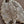 SARAH COVENTRY 