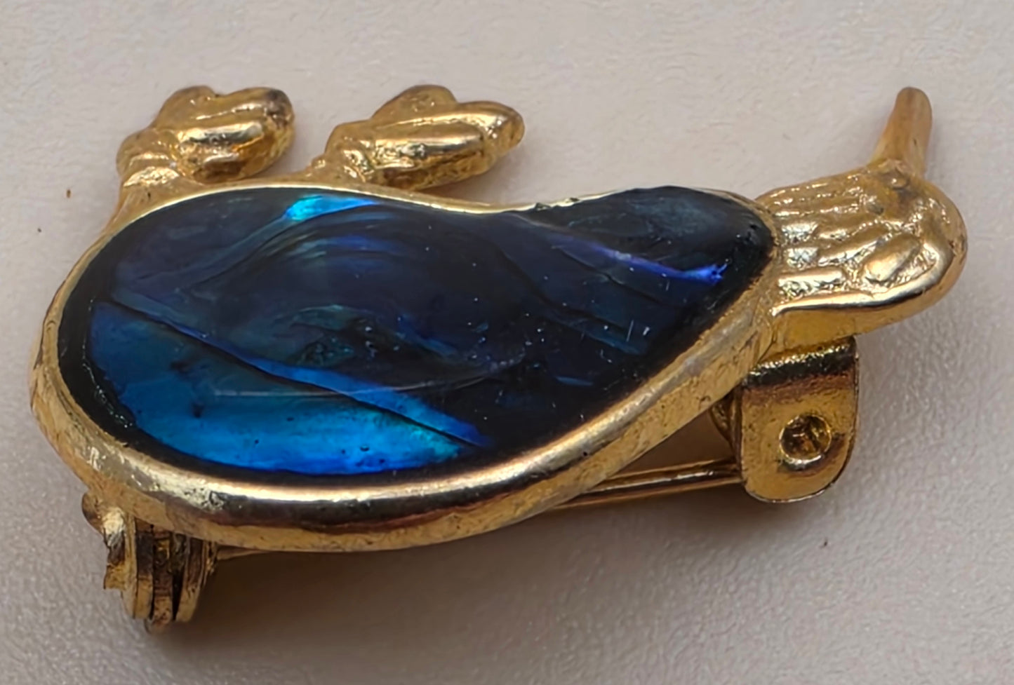 New Zealand Inlaid Kiwi Paua Shell/Gold Plated/1" Bird Brooch