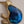New Zealand Inlaid Kiwi Paua Shell/Gold Plated/1