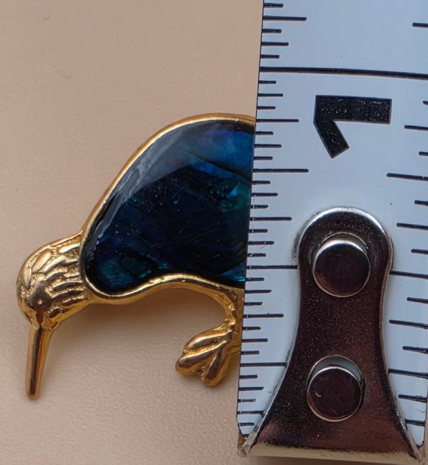 New Zealand Inlaid Kiwi Paua Shell/Gold Plated/1" Bird Brooch
