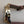 Blue Dial/Goldtone/Brown Stitched Band Men's Watch