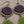 Green/Brown Druzy Stone Triple Dangle 3