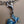 Silvertone/Butterfly/Scooter Charm 7