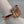 Rose Gold Plated Crystal Ring Size 8