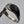 Sterling Silver/Inlaid Onyx Ring Size 5.5