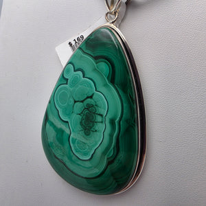 Malachite/Sterling Silver Pear  Shaped 3.5" Statement Pendant
