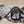 Pyritized Ammonite Shell/Pyrite/Quartz/Smoky Quartz/Sterling Adjustable Bracelet