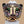 MICHAEL VALITUTTI Multi Gemstone/Sterling Silver/ Panther/Jaguar Head Ring Sz.5
