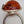 Cognac Baltic Amber/Sterling Silver Leaf Adjustable Ring Size 7.5