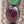 TONY YAZZIE N.A.  NAVAJO Spiny Oyster/Turquoise/Sterling Silver Pendant