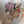 Asian Style/Hand Painted Pheasant Floral Motif/ Ginger Lamp