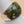 Rainforest Jasper/Sterling Silver Ring Size 8