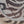 LE VIAN Chocolate Diamond/Diamond/Zebra Head Watch  Limited Edition 50 Of 500