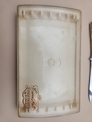 CARVELL HALL By Briddell Set Of 8 Steak Knives In Original Plastic Storage Box